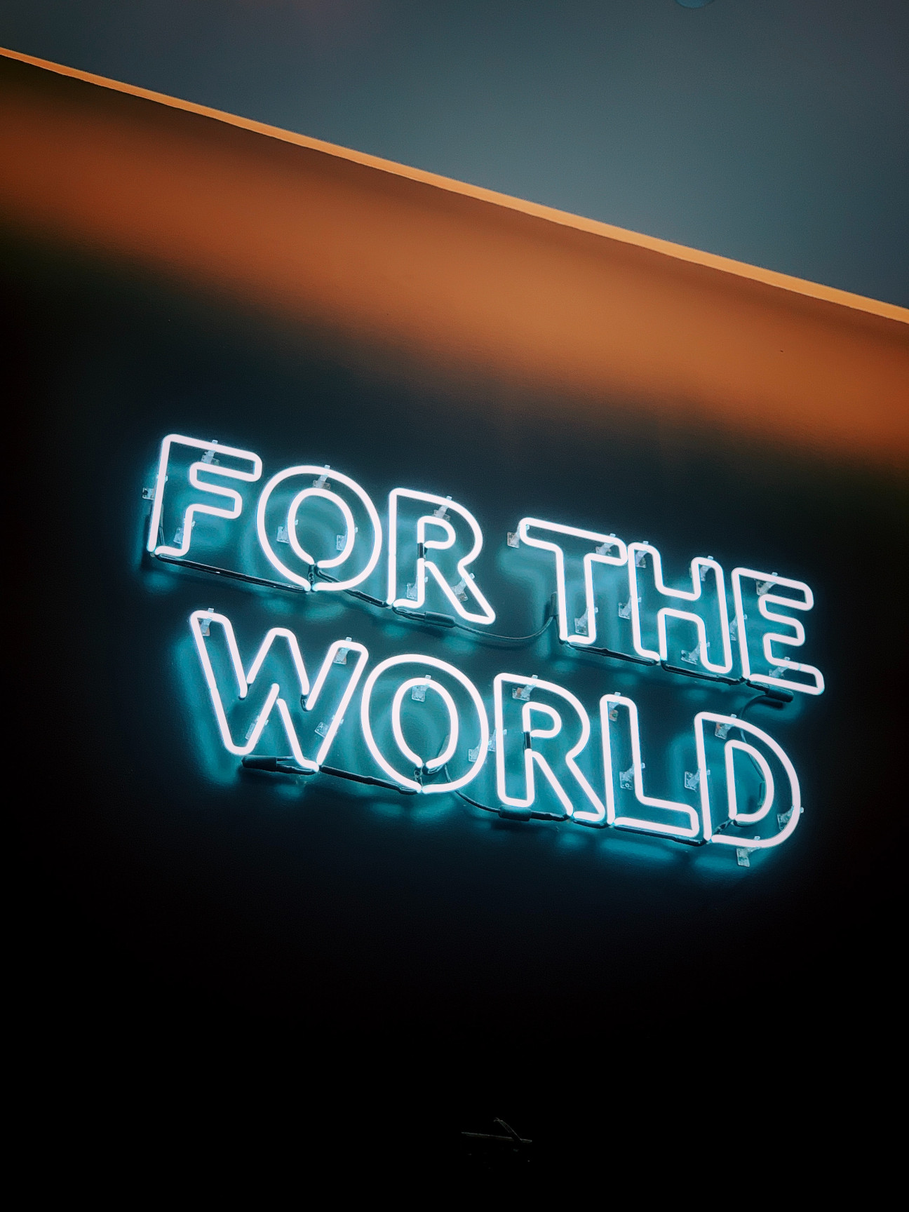 White Neon sign against black background reads For The World